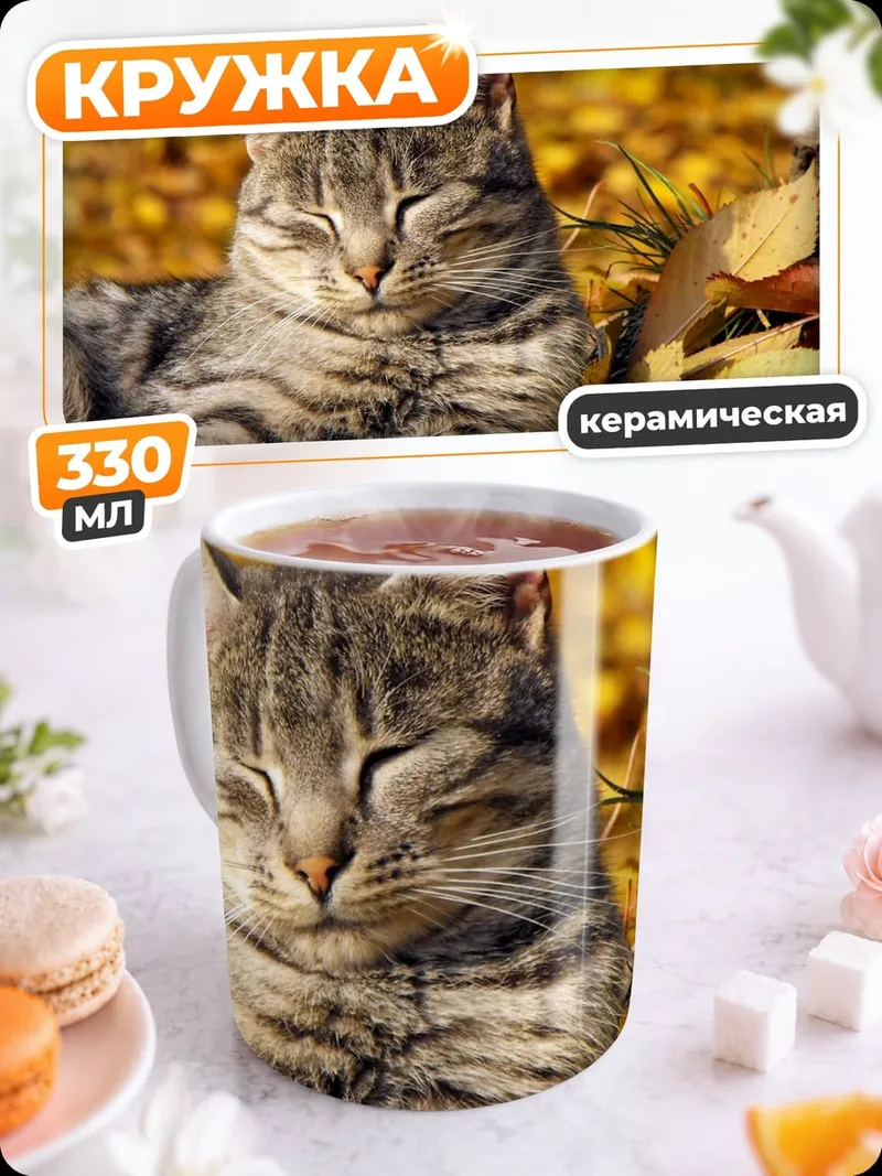 Кружка керамическая Кот осенние листья