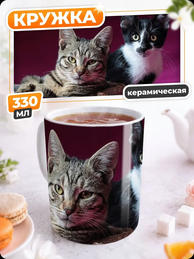 Кружка керамическая Два котенка