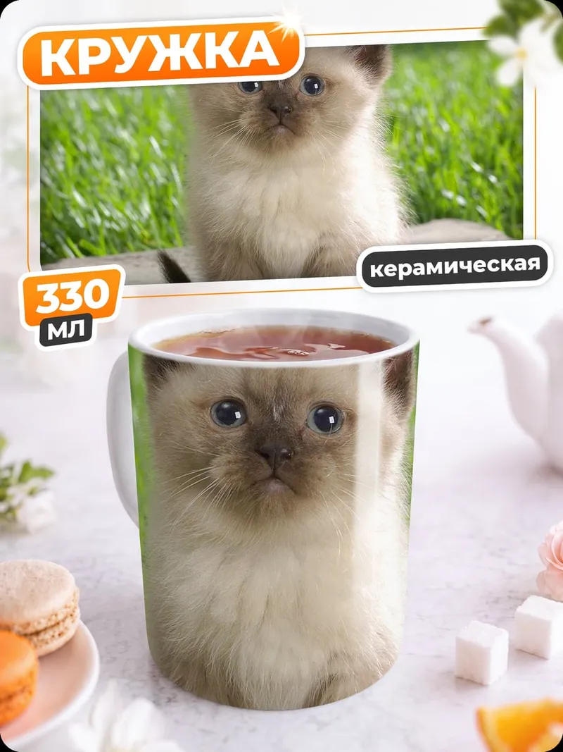 Кружка керамическая пушистый котенок