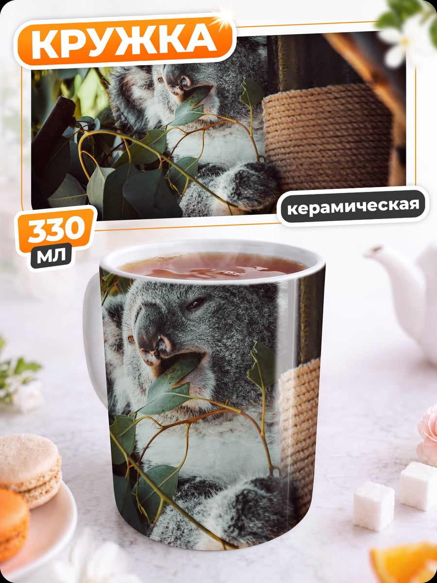 Кружка керамическая Коала в эвкалипте