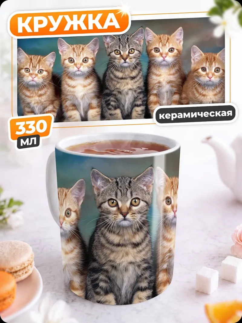 Кружка керамическая пятеро котят вместе