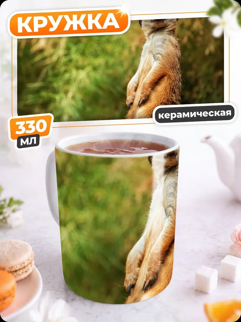 Кружка керамическая Сурикат на камне