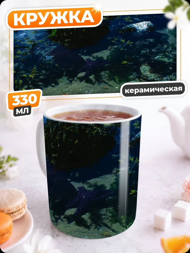 Кружка керамическая морские звезды