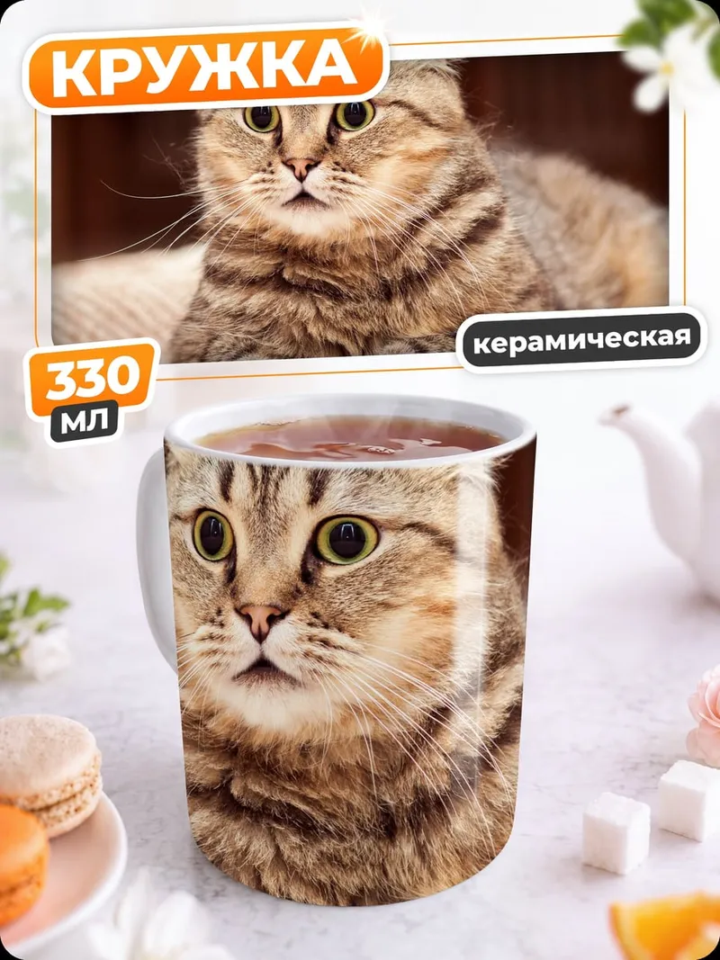 Кружка керамическая Удивленный кот