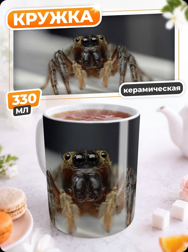 Кружка керамическая Паук-скакун