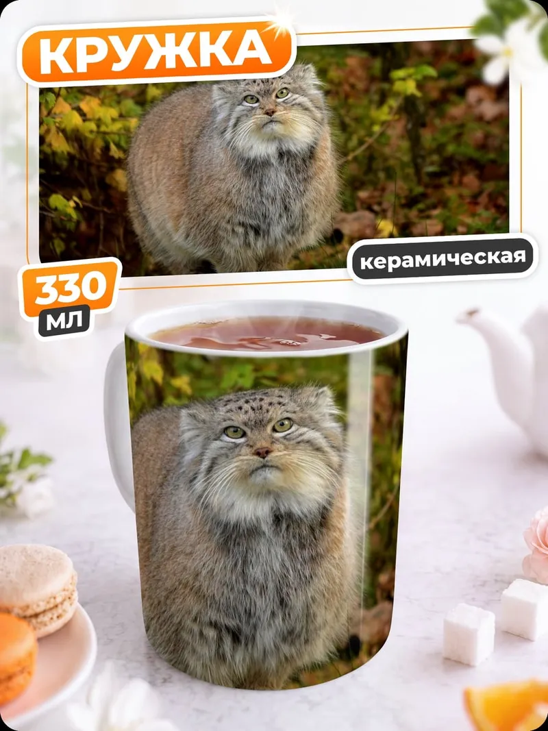Кружка керамическая Дикий Кот Манул