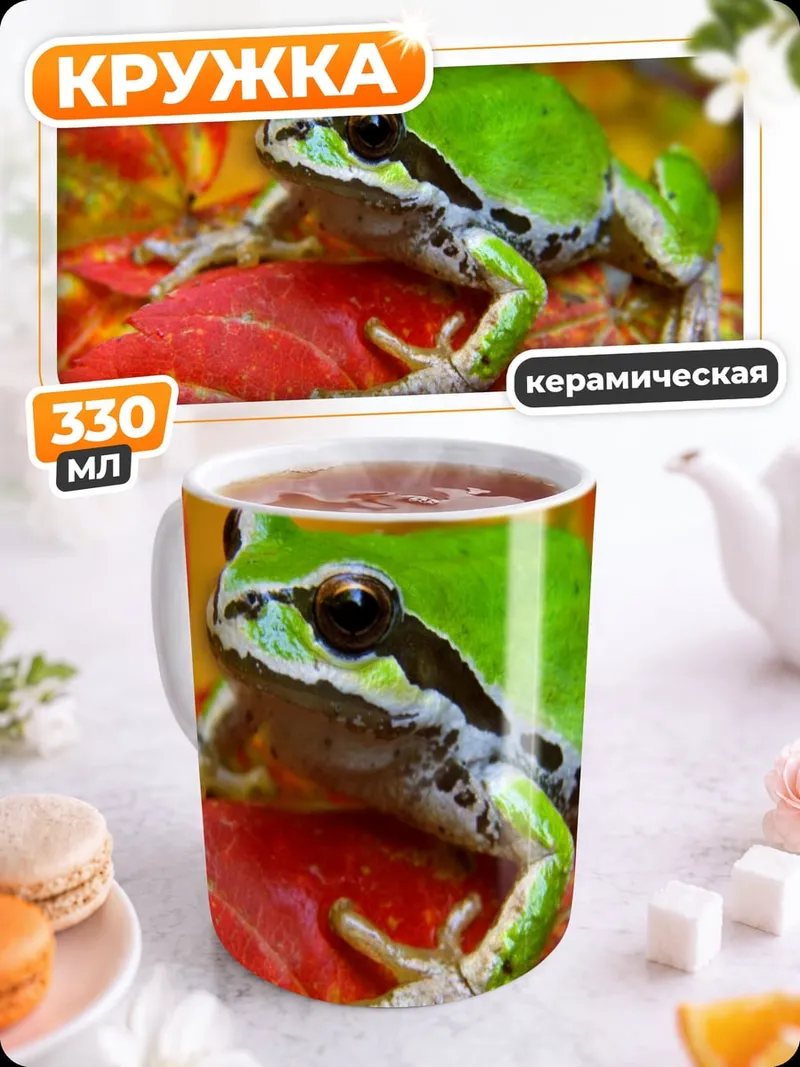 Кружка керамическая Зеленая лягушка на листьях