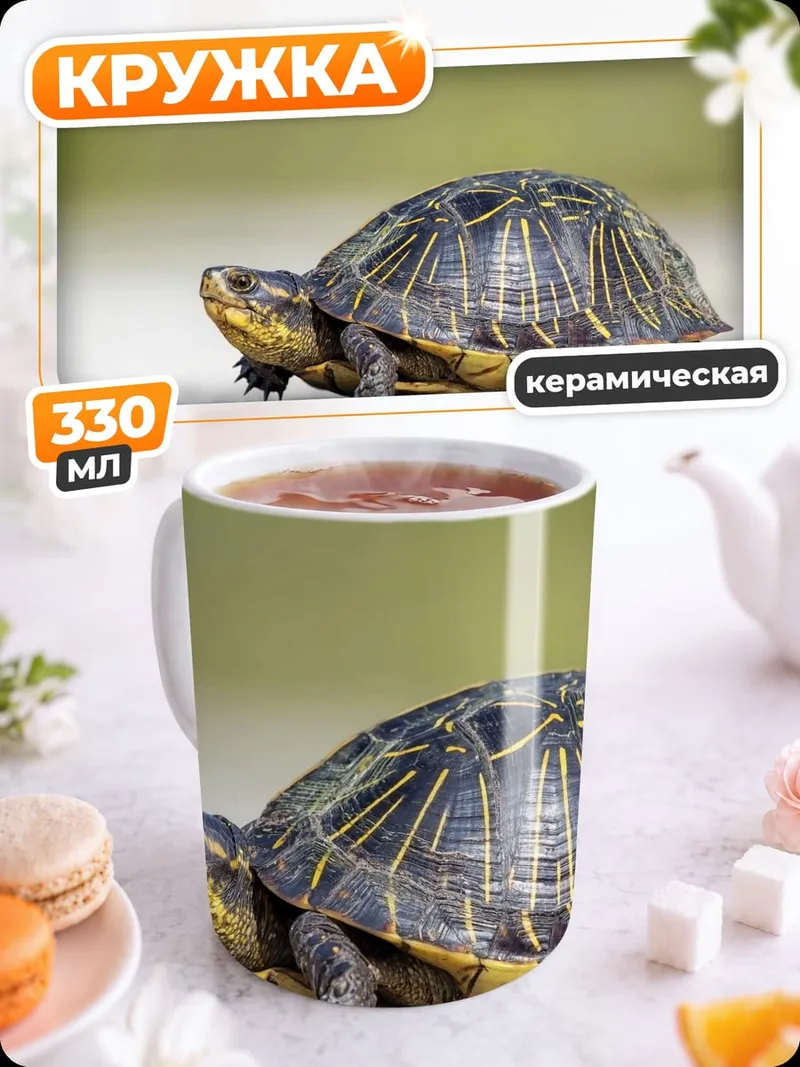 Кружка керамическая Черепаха на дороге