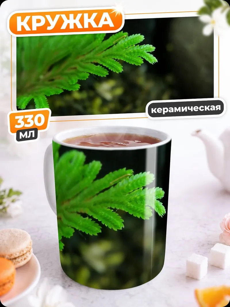 Кружка керамическая Зеленый Папоротник