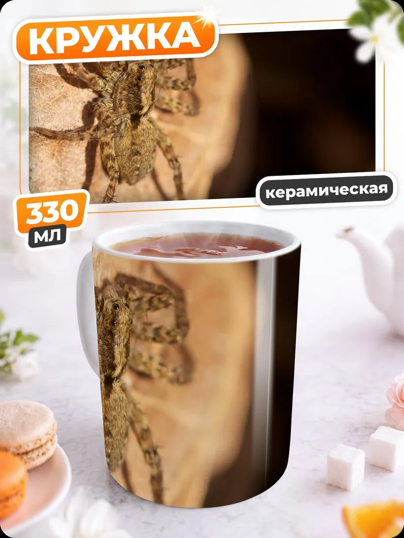 Кружка керамическая Паук на листе