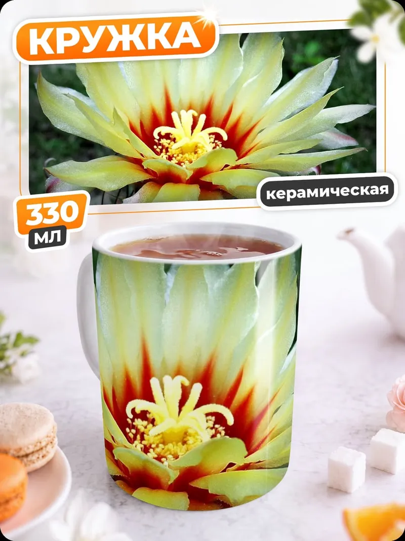Кружка керамическая цветок кактуса