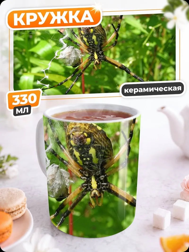 Кружка керамическая Паук на паутине