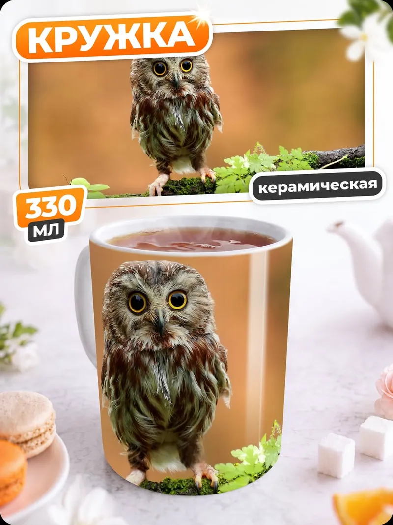 Кружка керамическая Маленькая сова на ветке
