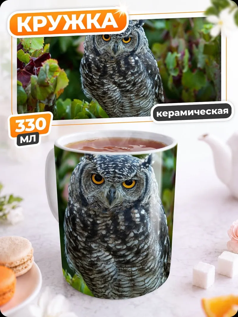 Кружка керамическая Сова на ветке