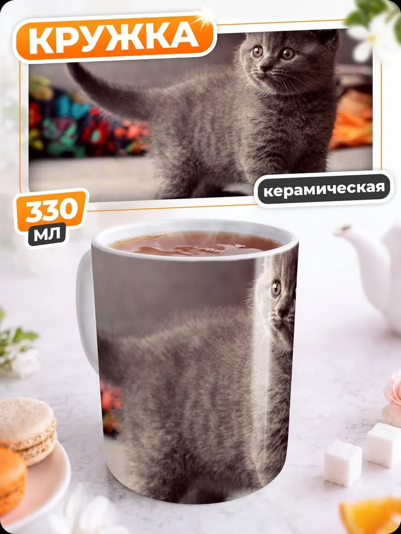 Кружка керамическая Милый серый котенок