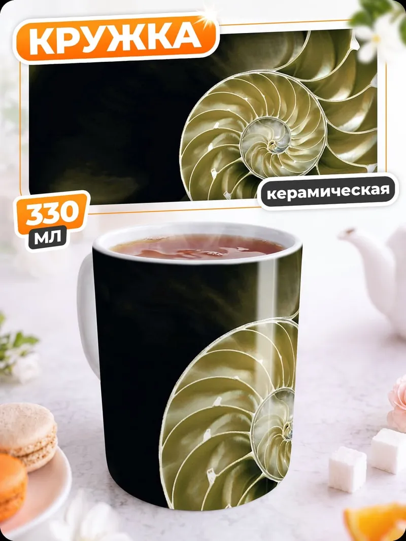 Кружка керамическая раковина наутилуса