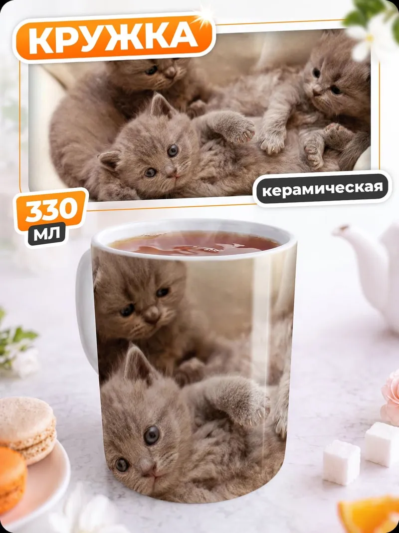 Кружка керамическая Котята пушистые лежащие