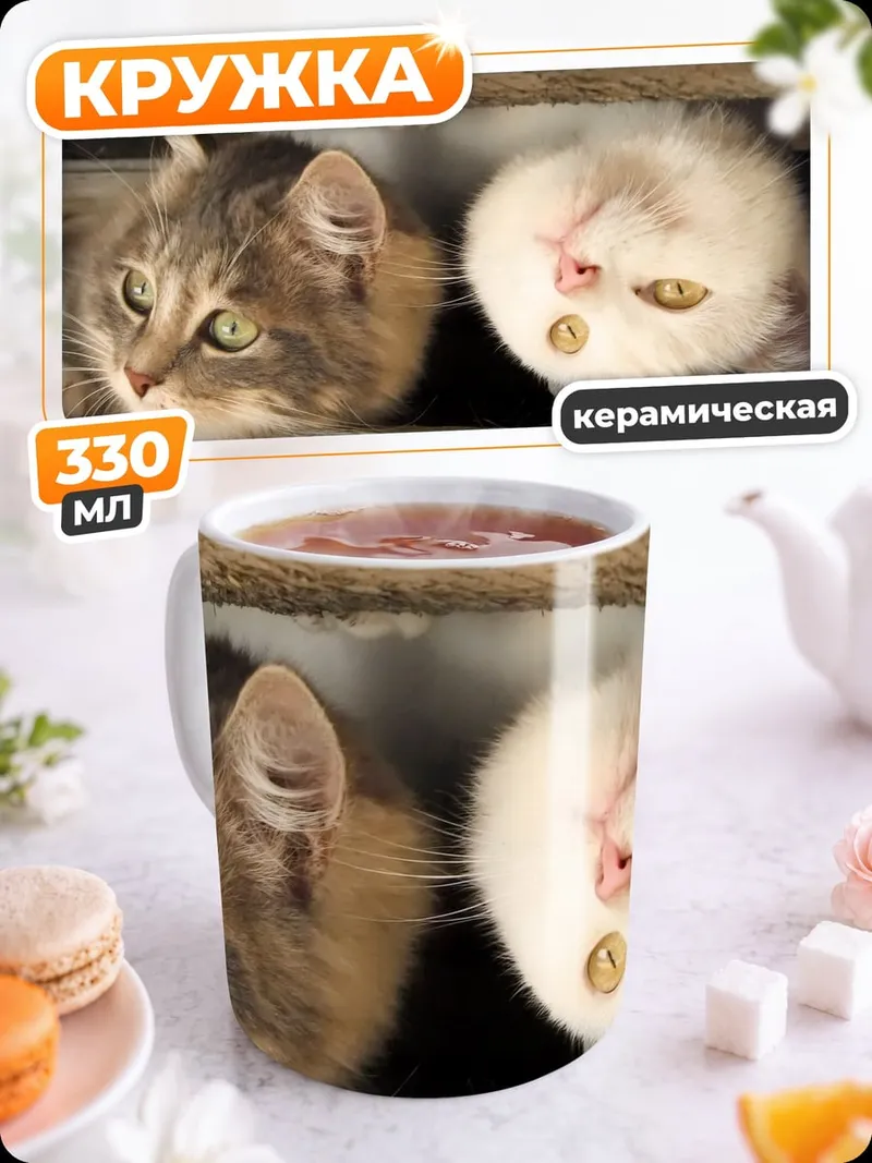 Кружка керамическая Два любопытных кота