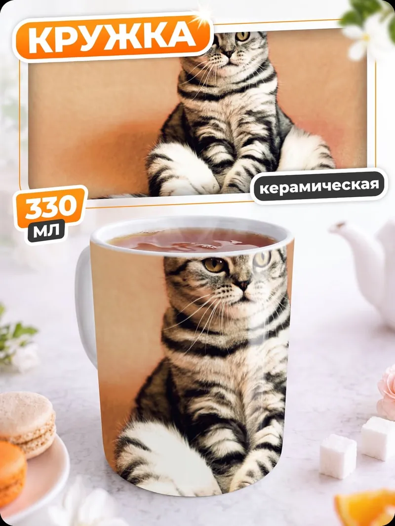 Кружка керамическая Шотландский вислоухий кот