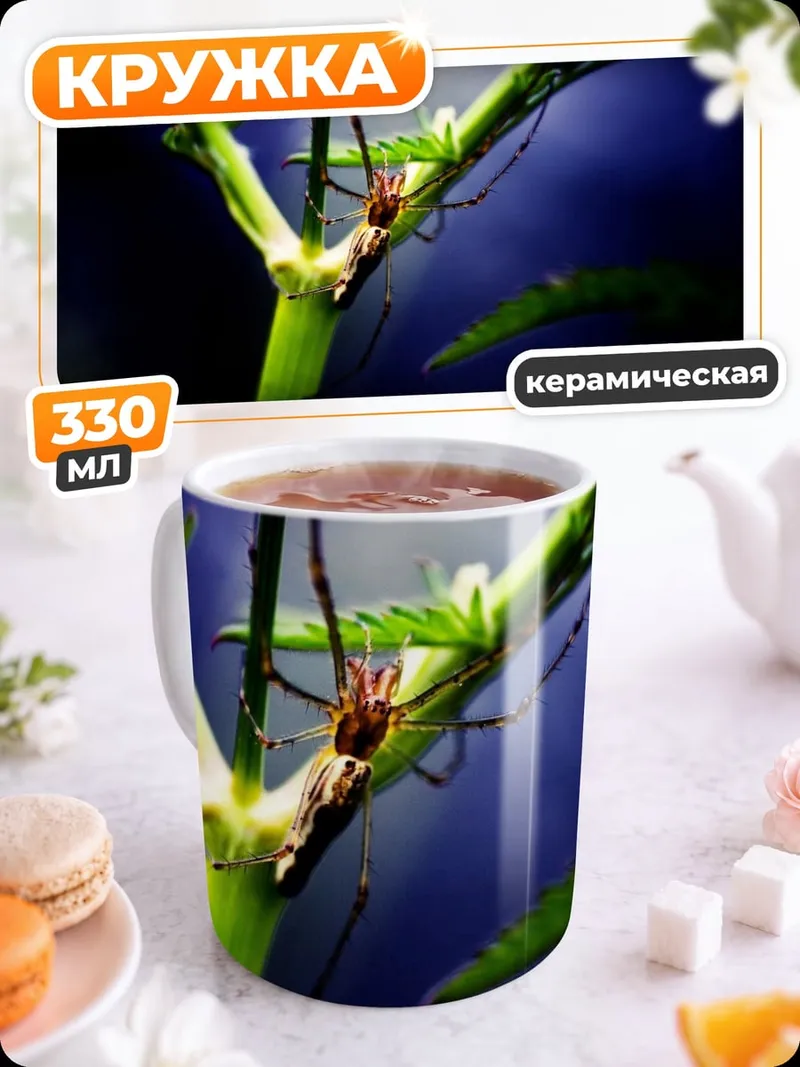 Кружка керамическая Паук на ветке