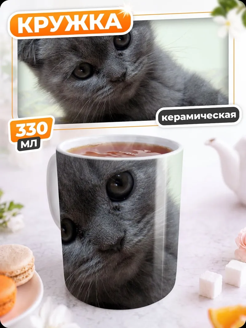 Кружка керамическая Серый котенок