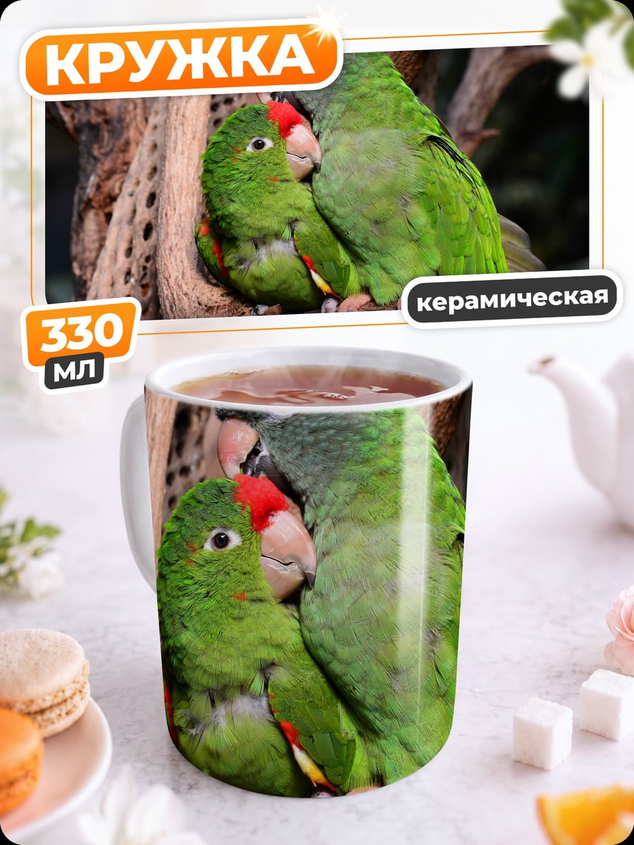 Кружка керамическая Пара попугаев