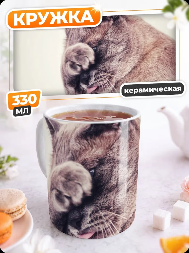 Кружка керамическая Умывающийся кот