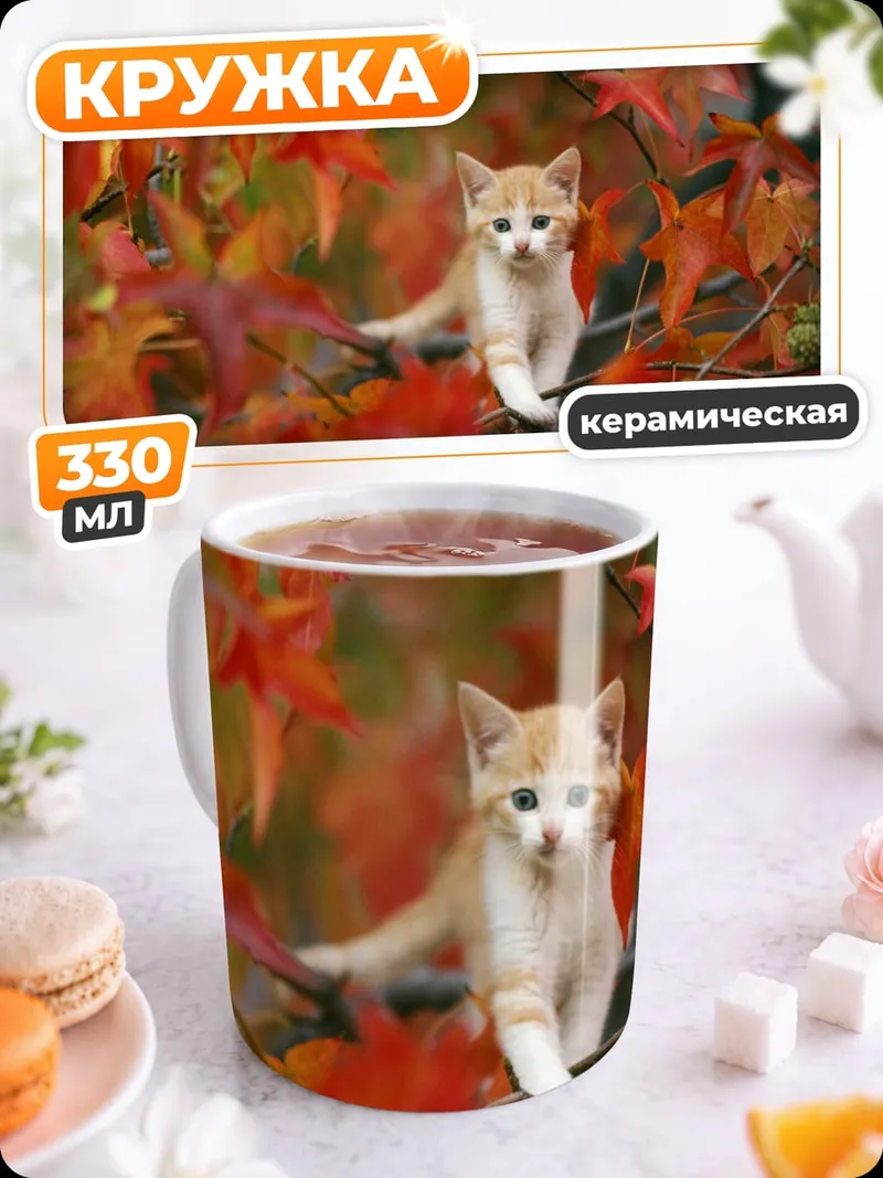 Кружка керамическая Котёнок в осени