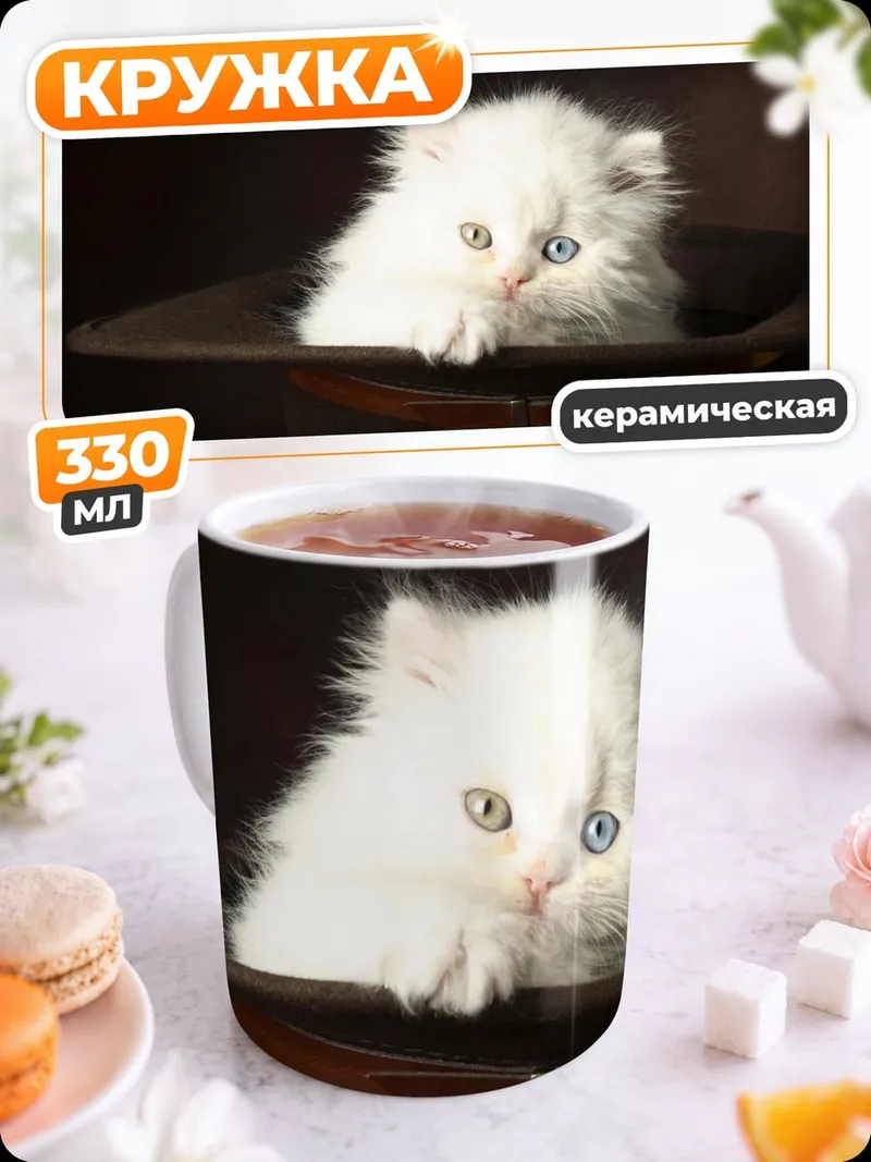 Кружка керамическая белый котенок в шляпе