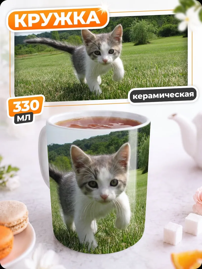 Кружка керамическая Котёнок на траве