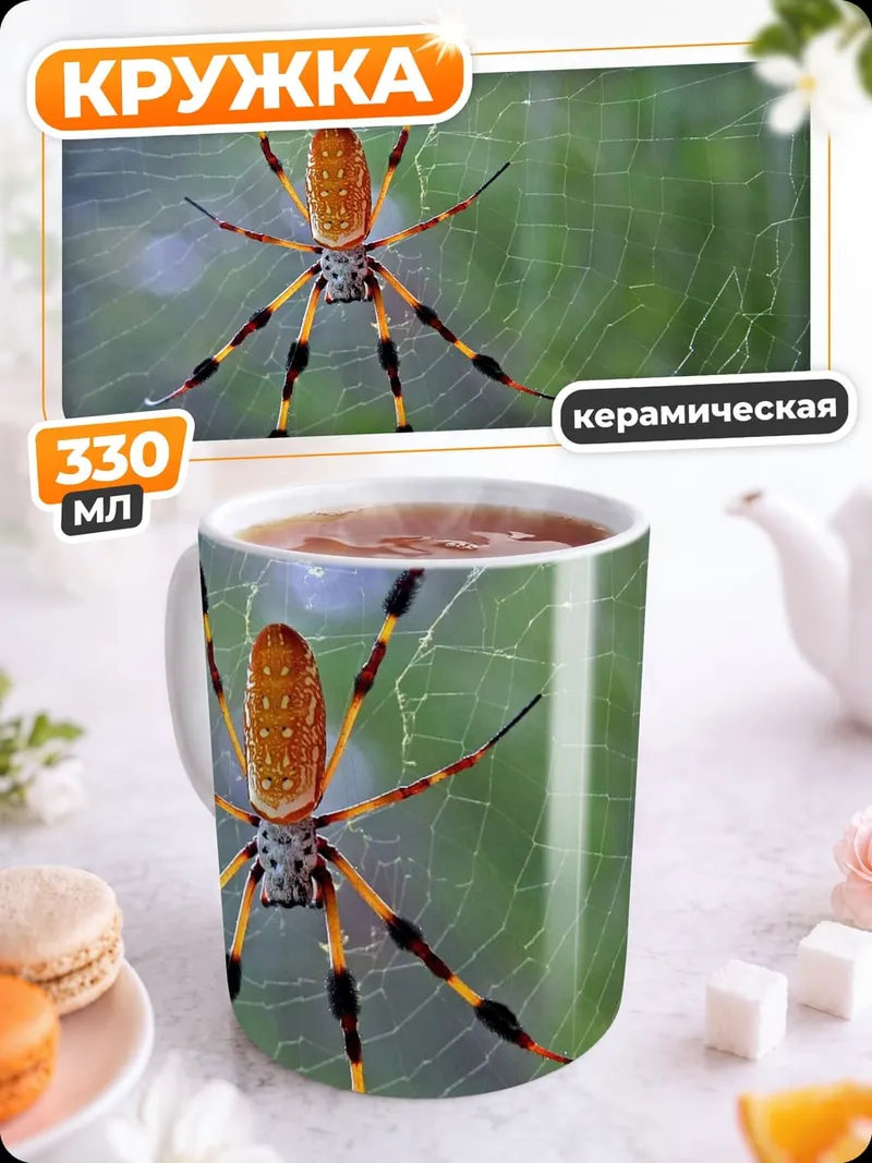 Кружка керамическая Паук на паутине