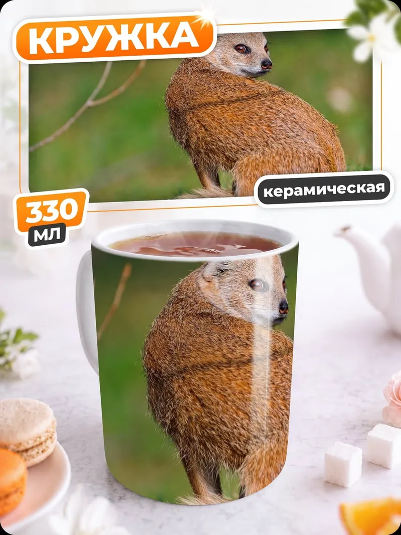 Кружка керамическая Рыжий мангуст сидит