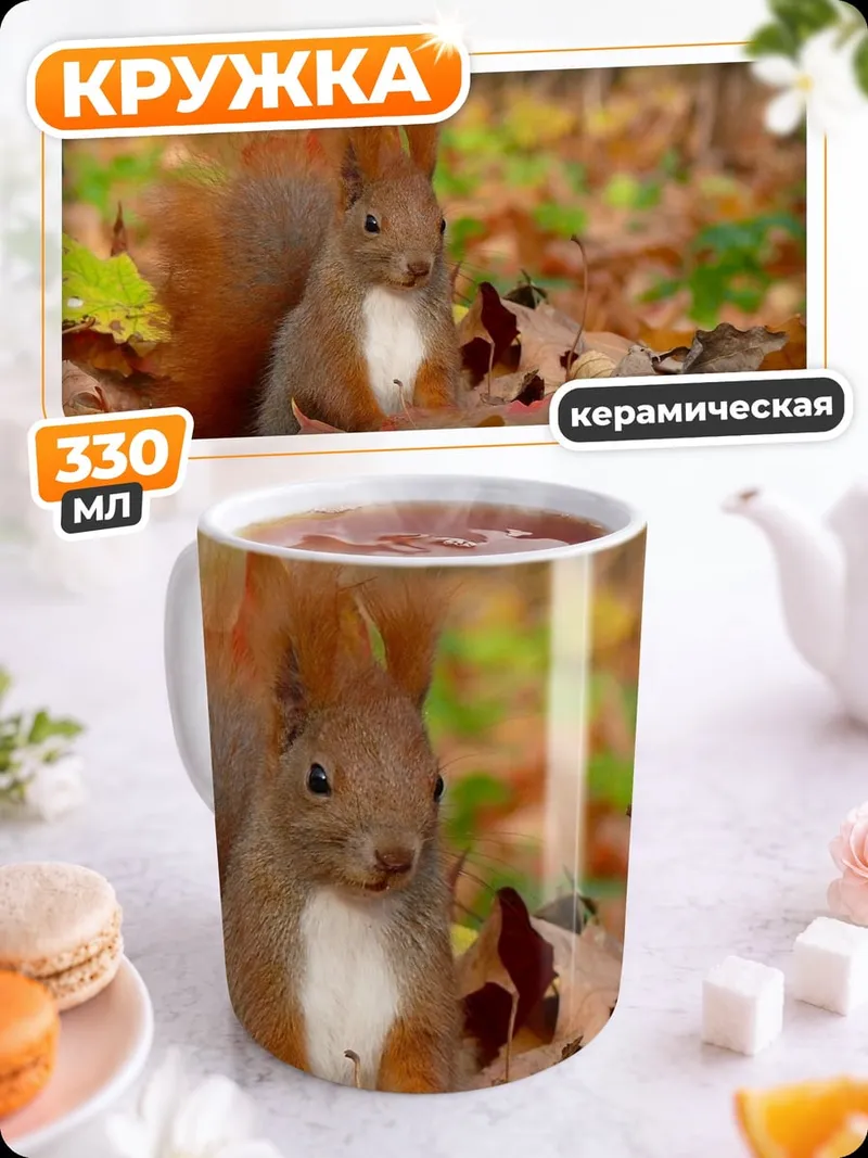Кружка керамическая Белка в осеннем лесу