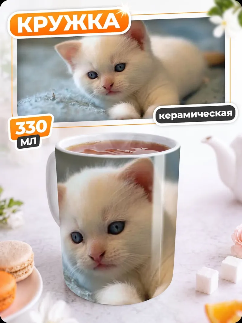 Кружка керамическая Белый котенок на пледе