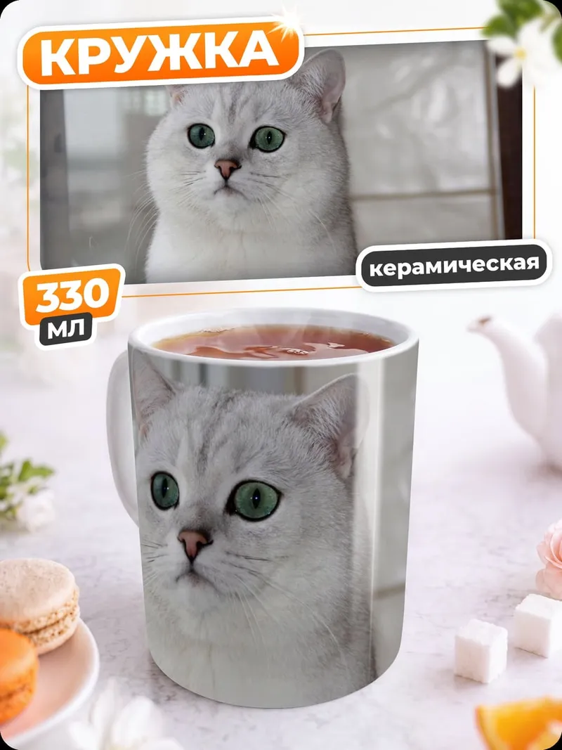 Кружка керамическая Британский короткошерстный кот