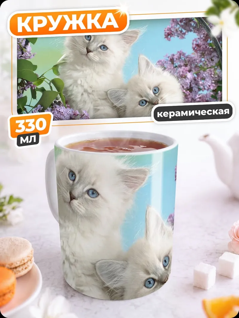 Кружка керамическая два пушистых котенка