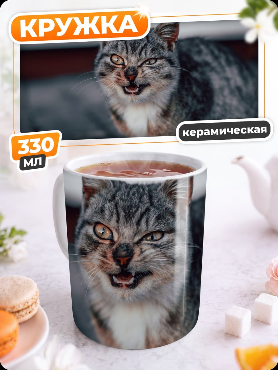 Кружка керамическая Сердитый кот