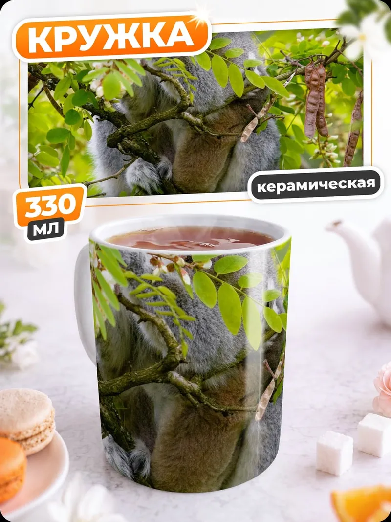 Кружка керамическая кольцехвостый лемур