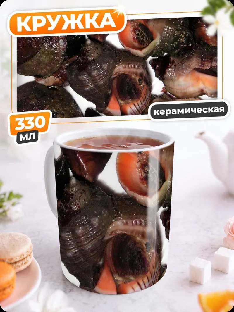 Кружка керамическая Морские улитки