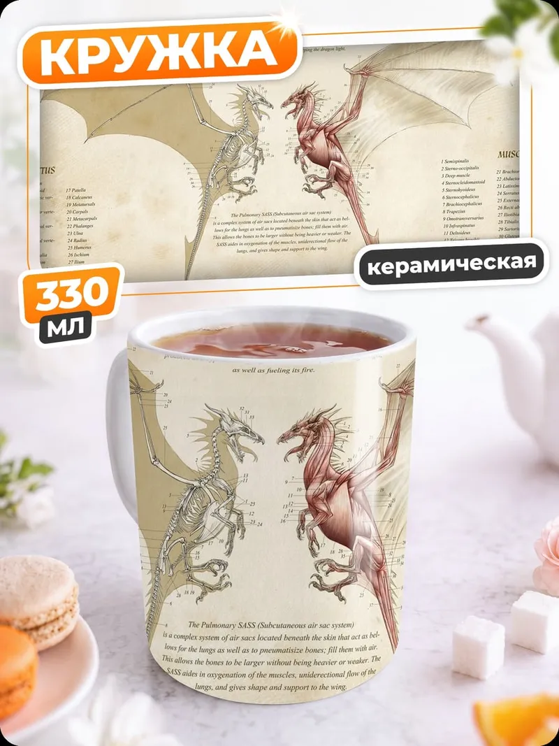 Кружка керамическая анатомия дракона