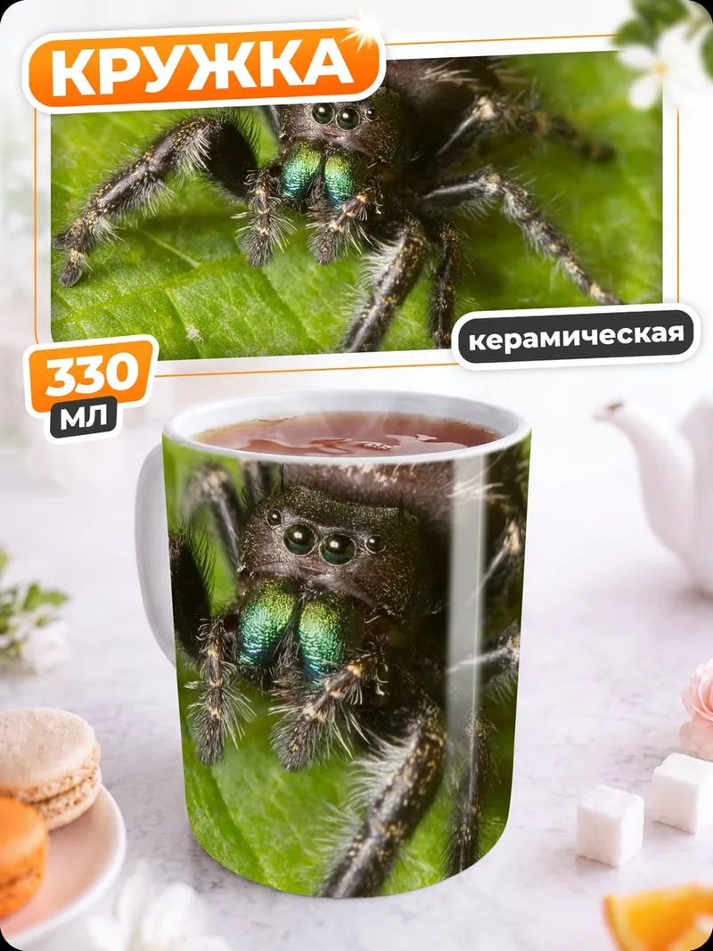 Кружка керамическая Паук-скакун