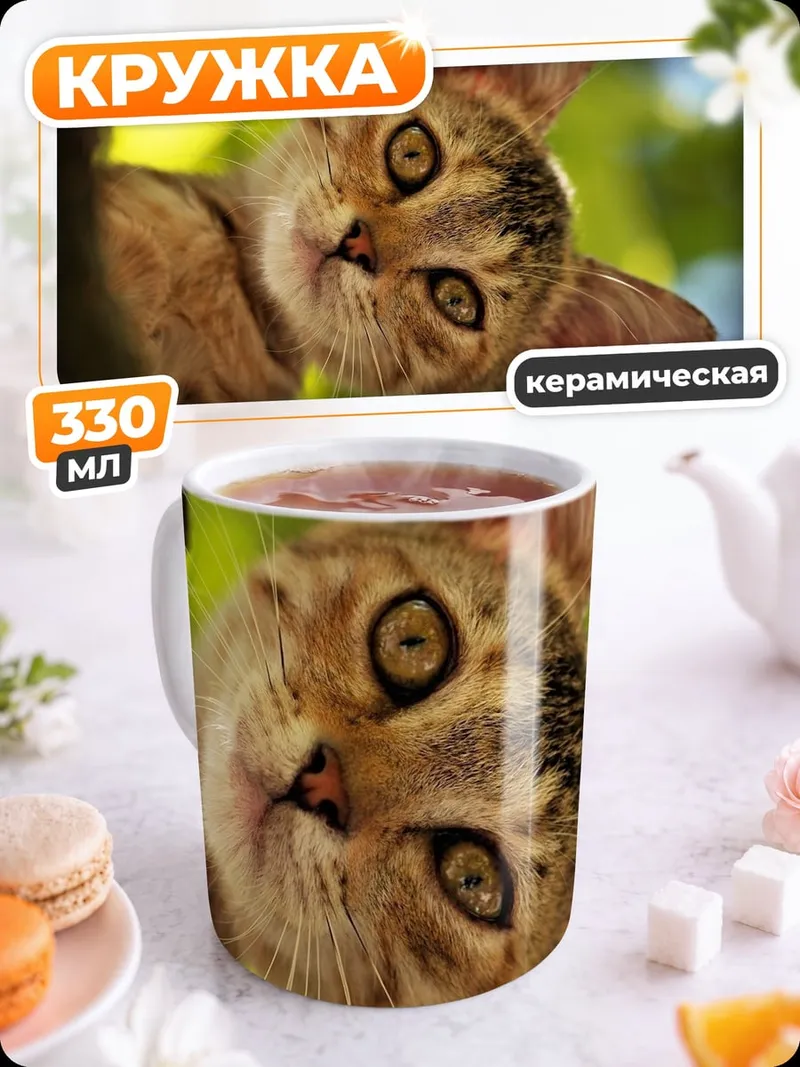Кружка керамическая любопытный котенок