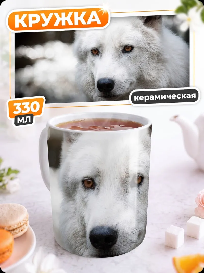 Кружка керамическая белый волк смотрит