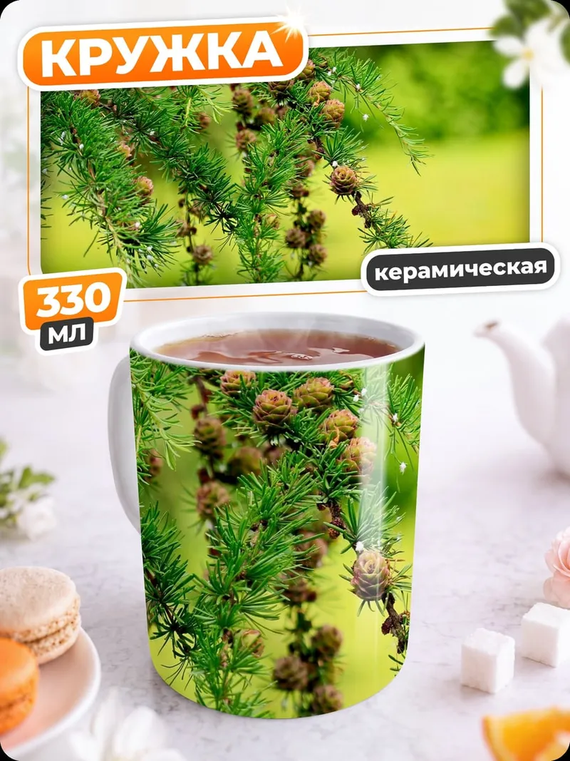 Кружка керамическая Ветки ели с шишками