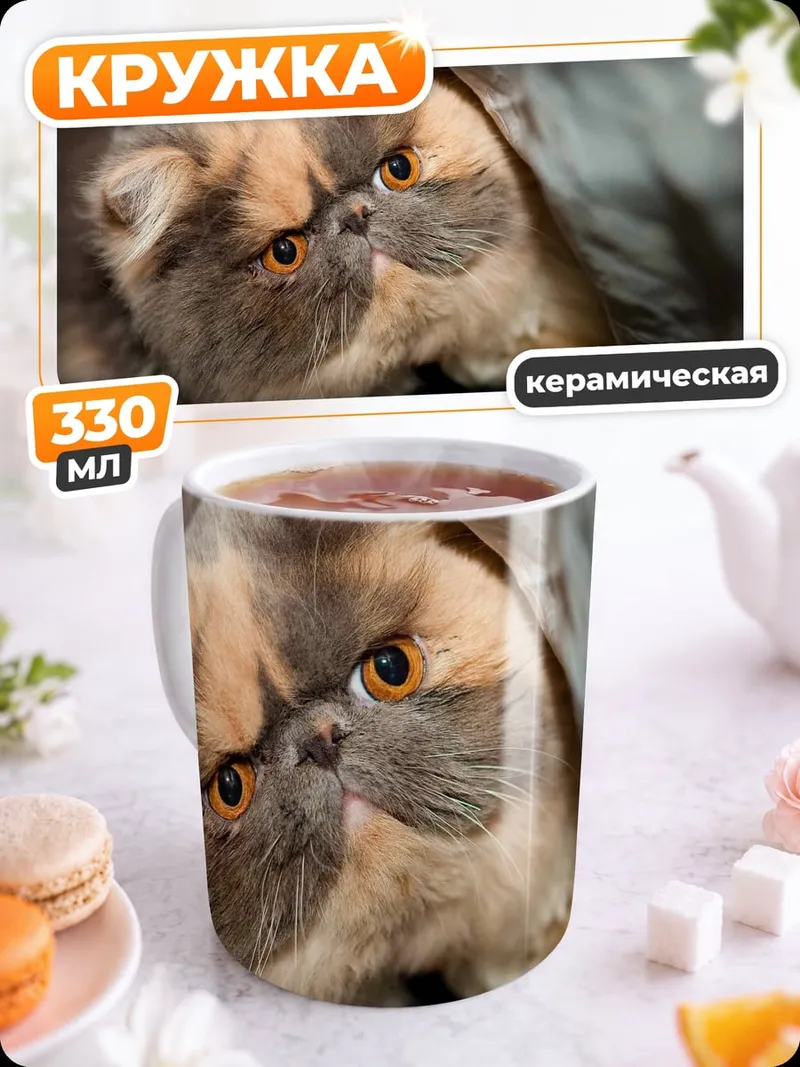 Кружка керамическая Пушистый кот смотрит