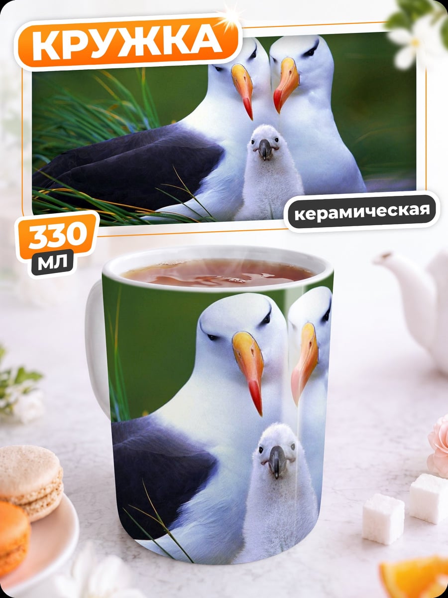 Кружка керамическая семья альбатросов