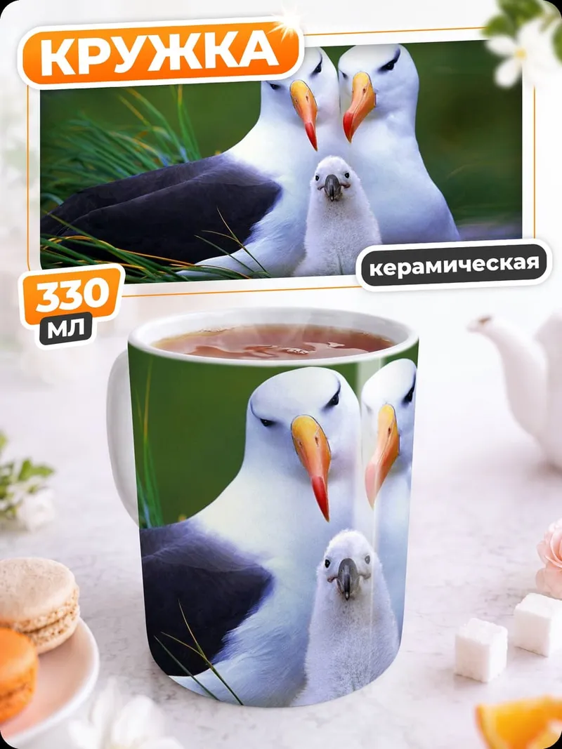 Кружка керамическая семья альбатросов