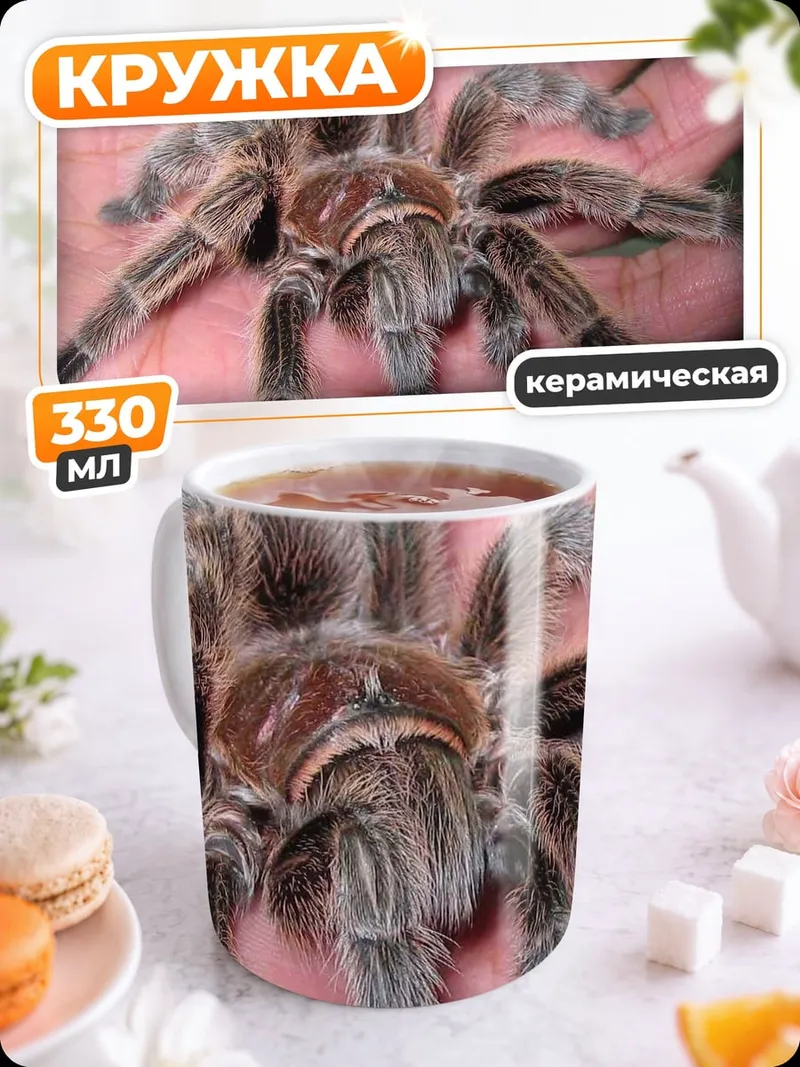 Кружка керамическая паук тарантул