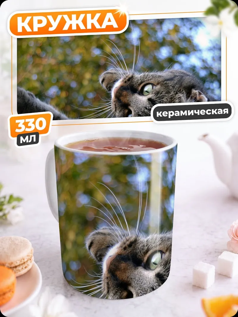 Кружка керамическая Кот смотрит вверх