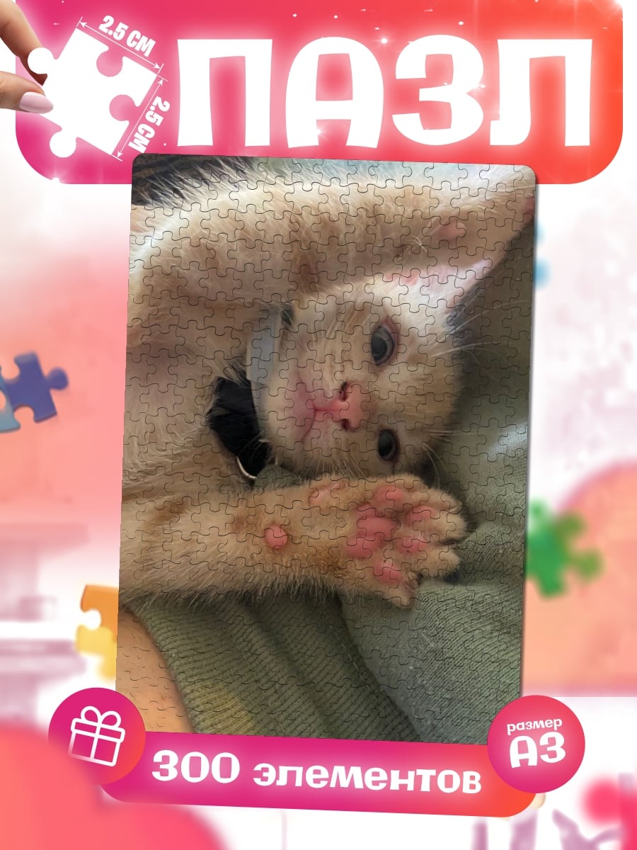 Пазлы Рыжий котенок